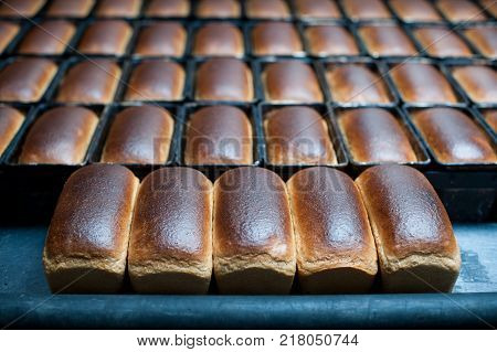 bread making factory fresh industry plant prepare
