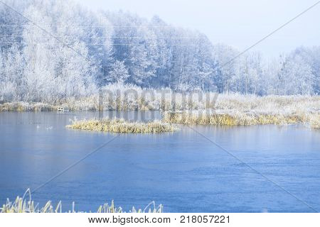 Morning landscape pond in a frosty winter morning