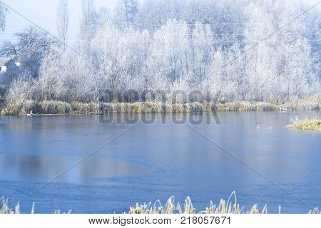Morning landscape pond in a frosty winter morning