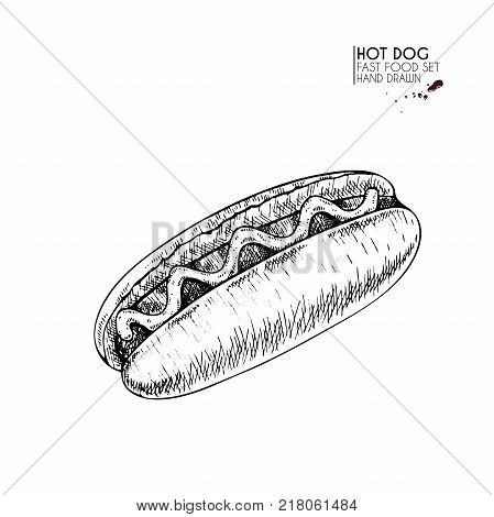 Hand drawn set of fast food. American hot dof with sausage ketchup mustard. engraved vector illustration. Isolated on white. For restaurant menu street food bakery cafe logo flyer banner