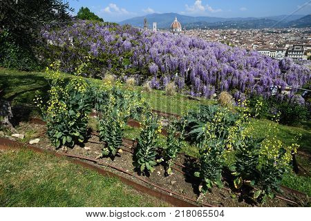 Cityscape of Florence as seen from Bardini Garden. Italy. Spring Season.