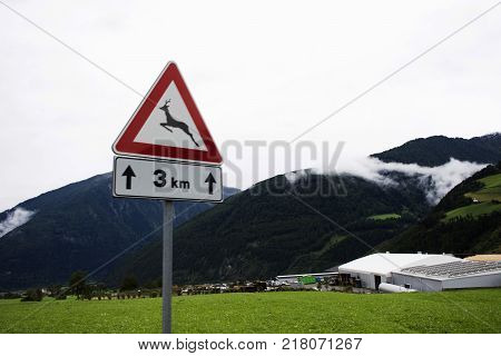 Information board traffic sign Beware of deer at beside road near Burgusio or Burgeis village at Malles Venosta in val Venosta in Trentino-Alto Adige Italy