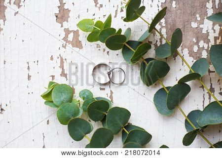 wedding rings on a white old table with a sprig of eucalyptus