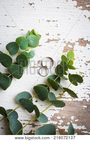 wedding rings on a white old table with a sprig of eucalyptus
