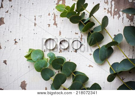 beautiful old ring on a white table with a sprig of eucalyptus