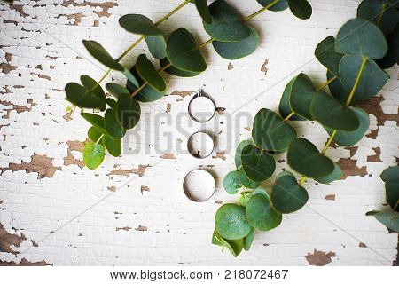 beautiful old ring on a white table with a sprig of eucalyptus