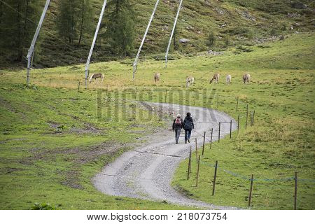 Travelers people trekking and hiking on the route way street go to top of otztal alps mountain in Schnals city in Bolzano, Austria