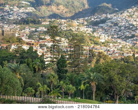 the coasline and the nature of the Island of madeira