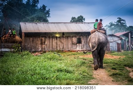 Two nepalese men riding on the elephant toward the stable, Nepal.