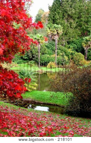 Caída de otoño