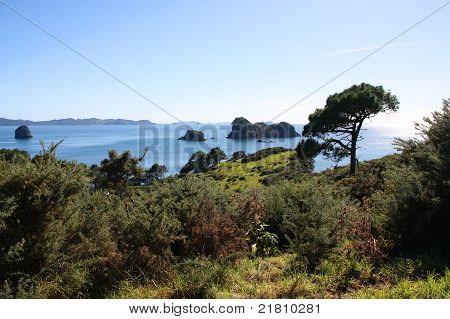 Coromandel, Nowa Zelandia