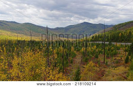 Kurtushibinskiy range of West Sayan Range, Autumn