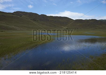 Flooded meadow in Valle Chacabuco, northern Patagonia, Chile.