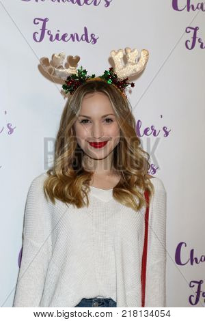 LOS ANGELES - DEC 10:  Brady Reiter at the Chandler's Friends Toy Drive & Wrapping Party  at Los Angeles Ballet Academy on December 10, 2017 in Los Angeles, CA