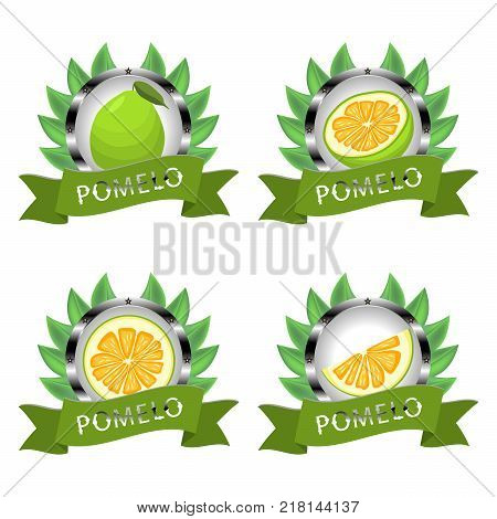 Abstract vector icon illustration logo for whole ripe citrus fruit green pomelo slice half. Pomelo pattern consisting of card label natural design citruses food.Eat sweet fresh fruits Citrus pomelos