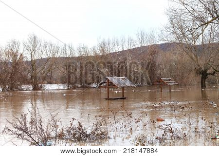 The river after the downpours came out of the banks. Flooding of river bank, trees after flood