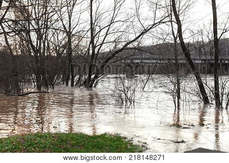 The river after the downpours came out of the banks. Flooding of river bank, trees after flood