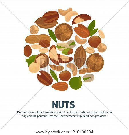 Delicious nutritious nuts advertisement banner with italic sign inside big circle isolated vector illustration . Healthy food full of vitamins and minerals commercial poster.