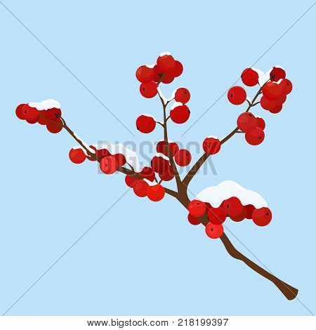 Cartoon hoar frost covered hawthorn berry isolated on blue