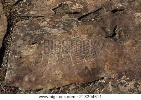 Petroglyphs of the tract Kalbak-Tash in Onguday district, Altai Republic, Russia.