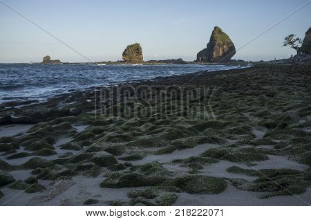 Indonesia: Scenery Of Tanjung Papuma Beach With Rock And Mossy Foreground. Papuma Beach Is Located A