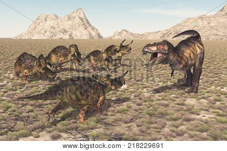 Computer generated 3D illustration with the dinosaur Tyrannosaurus Rex attacking the dinosaur Nasutoceratops