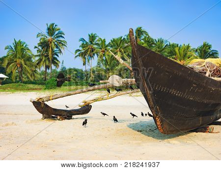 Traditional fishing boat on palm trees background Cavelossim Beach in South Goa, India
