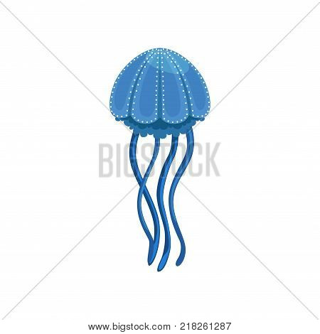 Blue jellyfish, phyllorhiza punctata species of underwater life vector Illustration on a white background