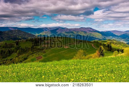 grassy rural fields on a cloudy day. lovely springtime countryside in Carpathian mountains