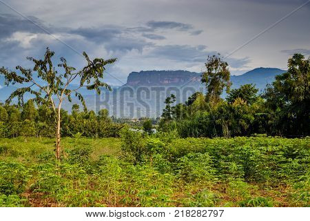 Uganda nature with the Mount Elgon national park in the background. 