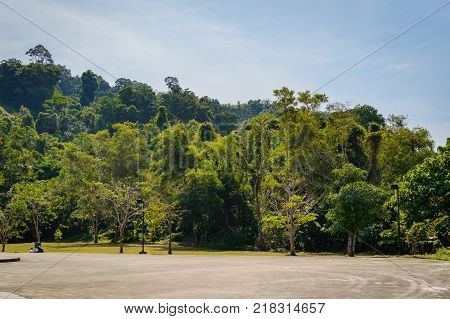 Scenery green garden and meadow in morning with coconut tree palm, Wonderful sunbeam at the natural park
