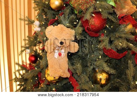 Bear in a christmas tree as decoration