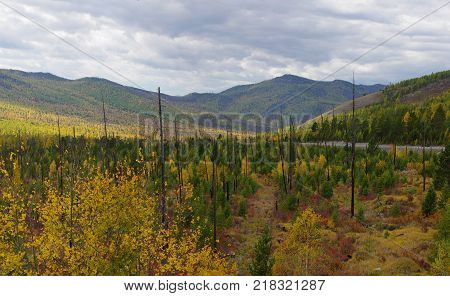 Kurtushibinskiy range of West Sayan Range Autumn