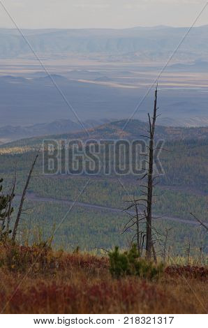 Kurtushibinskiy range of West Sayan Range Autumn
