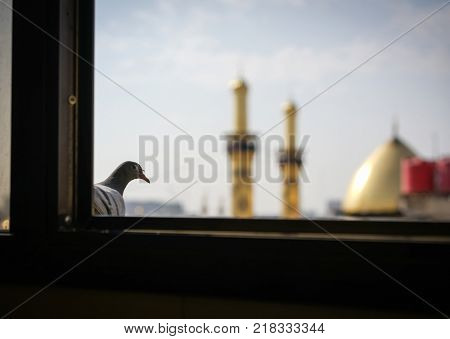Shrine of Imam Hussain ibn Ali in Karbala Iraq