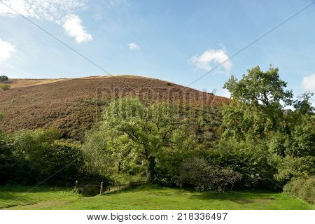 Path in Doone Valley, Exmoor, North Devon