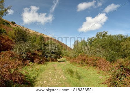 Path in Doone Valley, Exmoor, North Devon