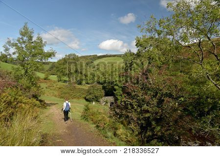 Path in Doone Valley, Exmoor, North Devon