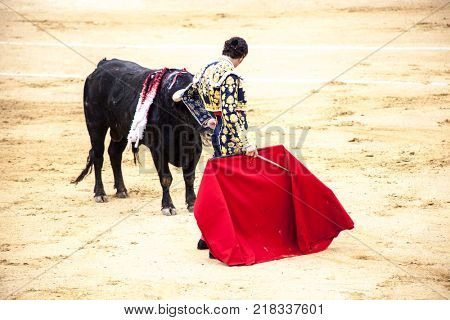 Spanish bullfight. .The enraged bull attacks the bullfighter. Spain Monumental Corrida de toros