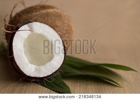 Tropical Still Life with Coconut. Copy Space