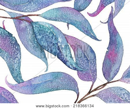 Abstract watercolor, watercolour pattern with tangled violet, pink and blue eucalyptus leaves and branches, hand painted illustration on white background. Tangled eucalyptus leaves on white background