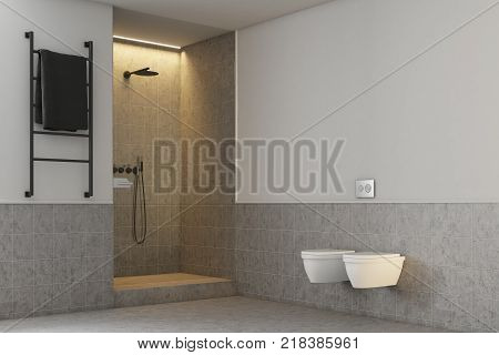Gray Bathroom, Toilets And Shower Close Up