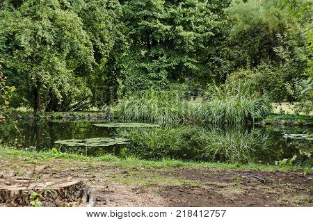 Forest, lake with reflection and water lily in National monument of landscape architecture Park museum Vrana in former time royal palace on the outskirts of Sofia, Bulgaria, Europe