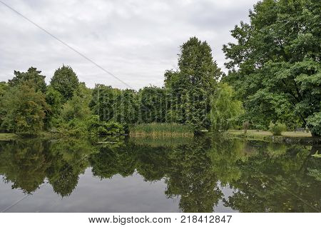 Forest, lake with reflection, reed or phragmites and water lily in National monument of landscape architecture Park museum Vrana in former time royal palace on the outskirts of Sofia, Bulgaria, Europe