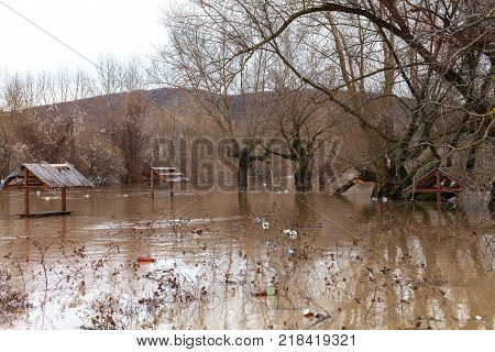 The river after the downpours came out of the banks. Flooding of river bank, trees after flood