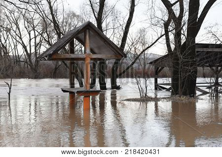 The river after the downpours came out of the banks. Flooding of river bank, trees after flood