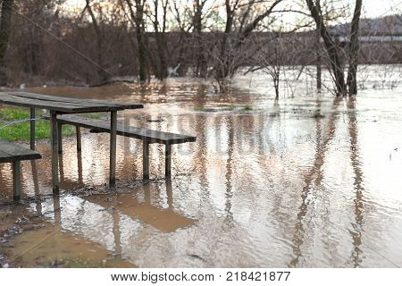 The river after the downpours came out of the banks. Flooding of river bank, trees after flood
