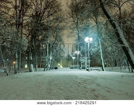 Snowy evening landscape of the city park.