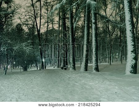 Snowy evening landscape of the city park.
