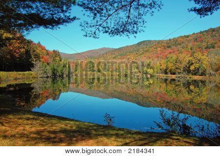 Pond_Landscape_Reflection
